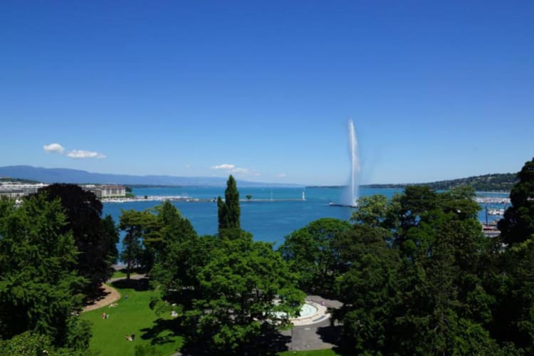 Views of lake